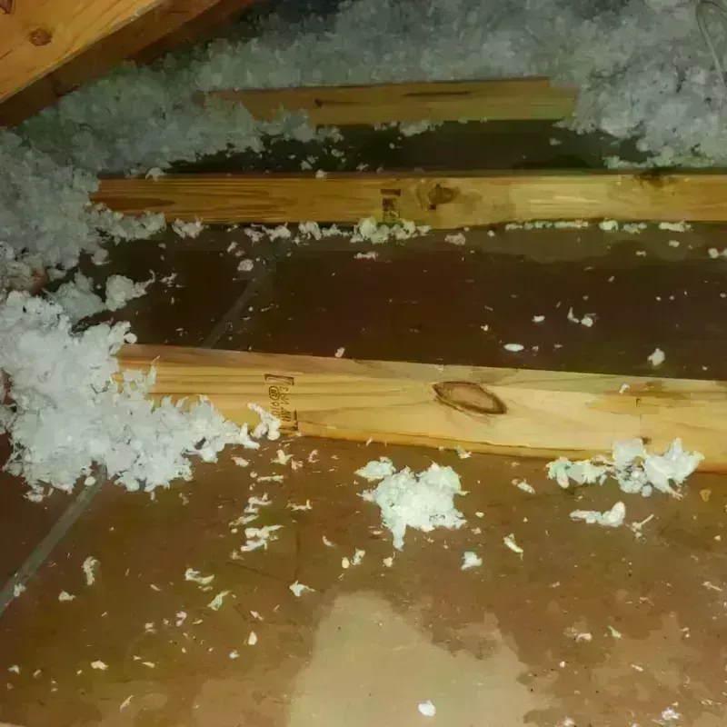 Attic Water Damage in Benton County, MO