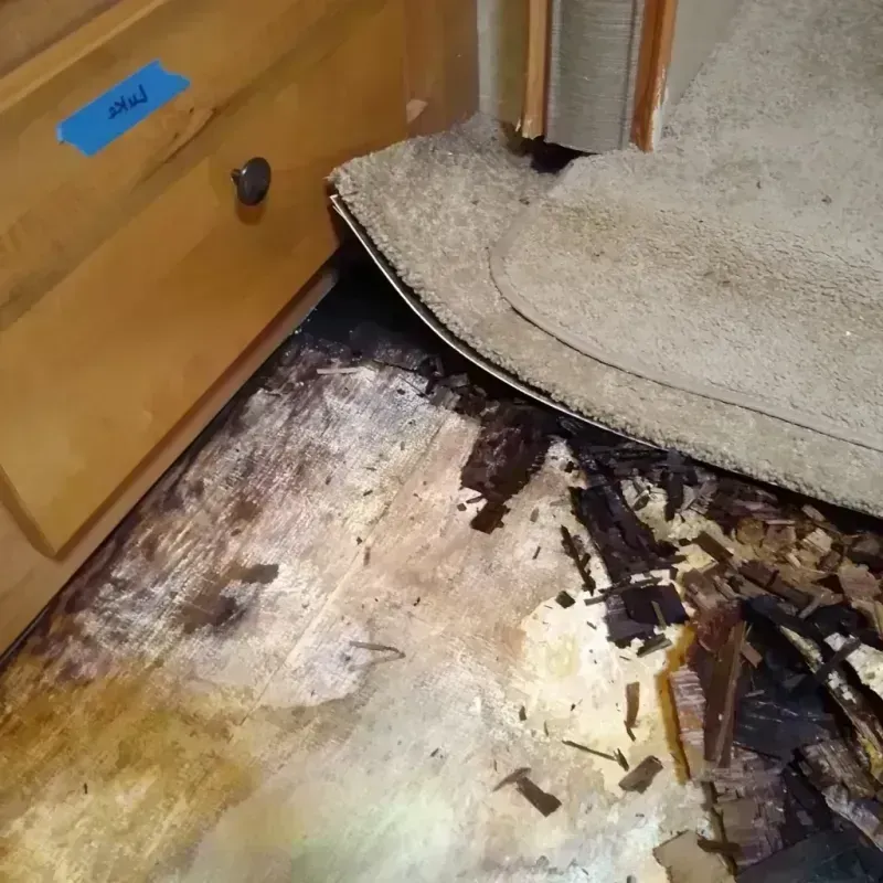 Wood Floor Water Damage in Benton County, MO